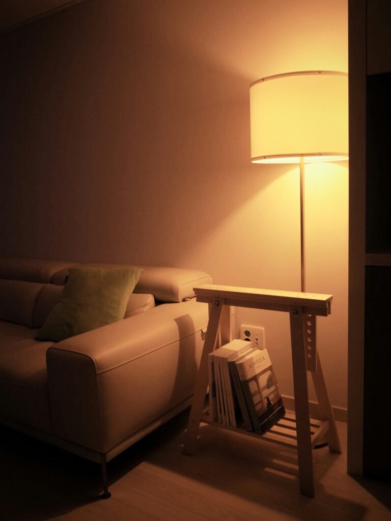 Dark room with stand lamp in the corner creating a lighting ambiance